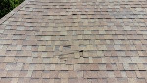 Roofing Inspection Services in Bonita Springs, Florida