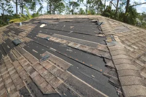 Roof Repair Services in Port Royal, Naples, FL